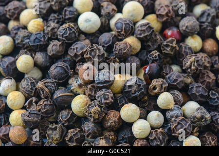 Hintergrund von Multi Color Pfeffer hautnah Stockfoto