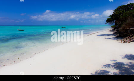 Zwei traditionelle Dhows in Ruhe in einem tropischen Paradies, in Nungwi, Sansibar Stockfoto