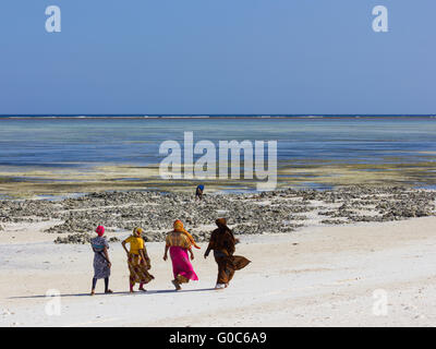 Vier lokalen muslimischen Damen Spaziergang am Strand entlang in traditioneller Kleidung bei monsaraz Strand, Sansibar Stockfoto