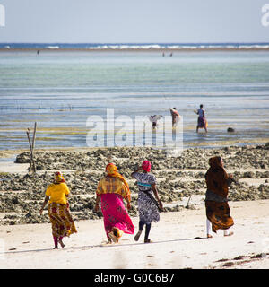 Vier lokalen muslimischen Damen Spaziergang am Strand entlang in traditioneller Kleidung bei monsaraz Strand, Sansibar Stockfoto