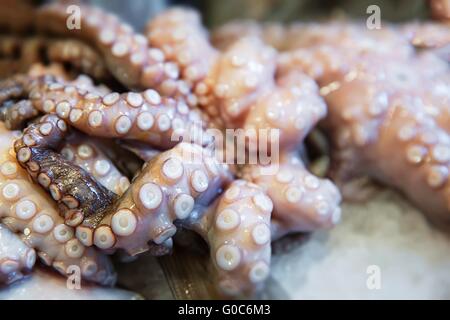 Nahaufnahme des großen rohen Oktopus auf Meer Markt Tisch Stockfoto