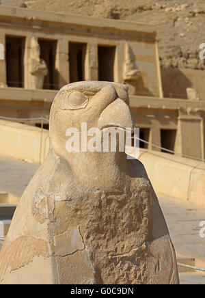 Horus-Statue am Tempel der Hatschepsut in Ägypten Stockfoto