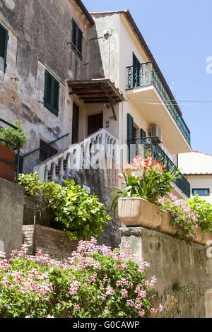 Poggio, Haus mit Treppe und Blumen, Elba Stockfoto