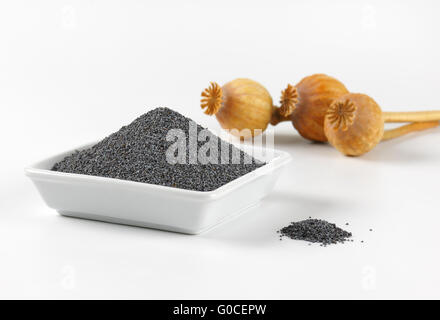 Schüssel mit Mohn und Mohnköpfen auf weißem Hintergrund Stockfoto