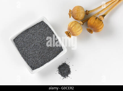 Schüssel mit Mohn und Mohnköpfen auf weißem Hintergrund Stockfoto