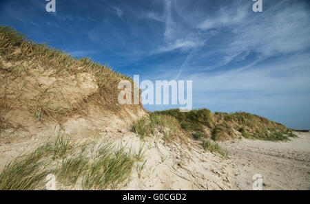 Dünen am Strand Stockfoto