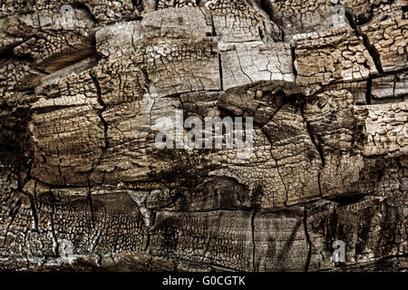 Verbranntes Stück Holz close-up, für den Einsatz als Hintergrund Stockfoto