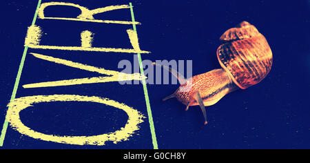 Schnecke auf schwarze Tafel über Wort handschriftlich Stockfoto