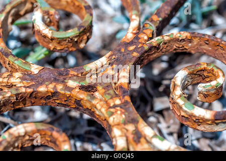 Detail des Ornaments alte, verrostete Eisen liegen auf th Stockfoto