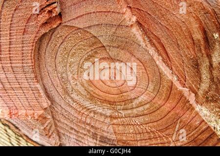 Gesägtes Holz-Oberfläche Stockfoto