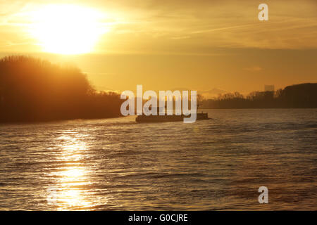 Sonnenaufgang am Rhein Stockfoto