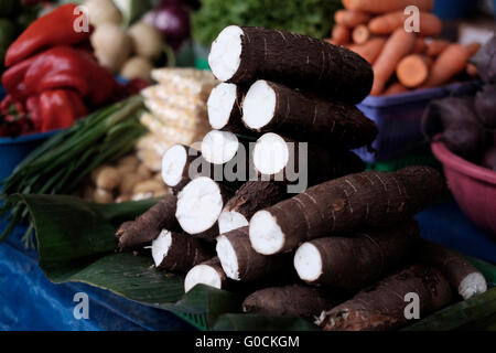 Haufen von Manihot Esculenta, die gemeinhin als Maniok Maniok, Tapioka und Yuca ist ein holziger Strauch zum Verkauf auf dem Mercado Central der kommunalen Hauptmarkt in Antigua eine Stadt im zentralen Hochland von Guatemala Mittelamerika Südamerika heimisch. Manioka ist die drittgrößte Quelle der Nahrung Kohlenhydrate in den Tropen, nach Reis und Mais Stockfoto