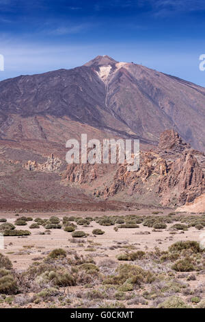 Teide Nationalpark Teneriffa Kanarische Inseln vertikal Stockfoto