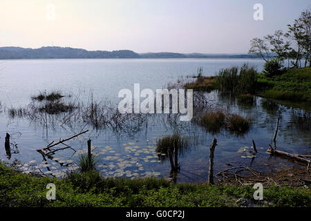 Blick von der Küste von See Peten Itza in der nördlichen Petén in Guatemala. Zentralamerika Stockfoto