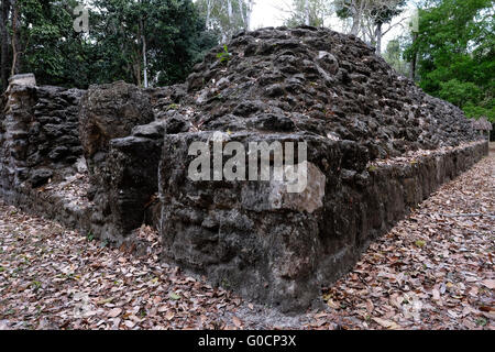 Eine antike Maya-Ruine im östlichen Teil der Yaxhá befindet sich eine archäologische Stätte der mesoamerikanischen und eine ehemalige zeremonielles Zentrum und Stadt der präkolumbischen Maya-Zivilisation am Nordufer des See Yaxha im Nordosten der Region Petén Becken. Guatemala Stockfoto