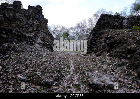 Eine antike Maya-Ruine im östlichen Teil der Yaxhá befindet sich eine archäologische Stätte der mesoamerikanischen und eine ehemalige zeremonielles Zentrum und Stadt der präkolumbischen Maya-Zivilisation am Nordufer des See Yaxha im Nordosten der Region Petén Becken. Guatemala Stockfoto