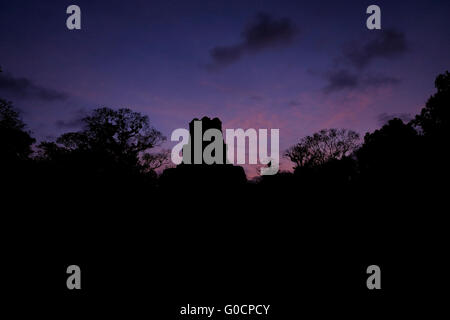 Blick in der Abenddämmerung von der alten Maya trat Pyramide Tempel number1 auch bekannt als der große Jaguar im Jahr 700 n. Chr. im Gran Plaza an der archäologischen Stätte von Tikal ein altes urbanes Zentrum der präkolumbischen Maya-Zivilisation befindet sich im archäologischen Bereich des Beckens im Norden Guatemalas Petén gebaut Stockfoto