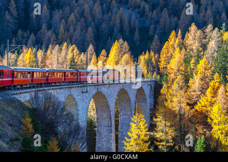 Die Sightseeing-Zug-Bernina express der Rhätischen Bahn laufen auf dem Viadukt mit Blick auf bunte Bäume auf einen sonnigen Herbst d Stockfoto