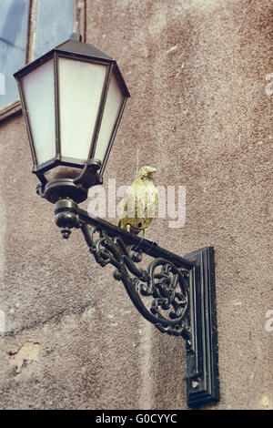 Lampe mit Vogel Stockfoto