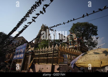 Hindu-Tempel in der Innenstadt von Yangon, Birma, bevölkert von Tauben Stockfoto