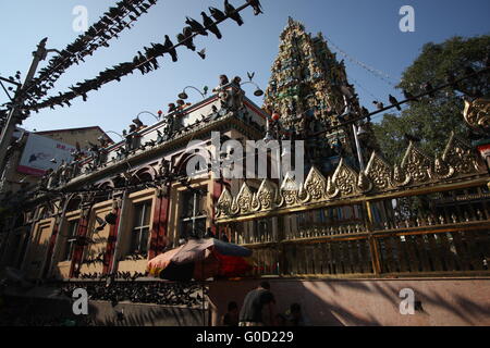 Hindu-Tempel in der Innenstadt von Yangon, Tauben bevölkert. Stockfoto