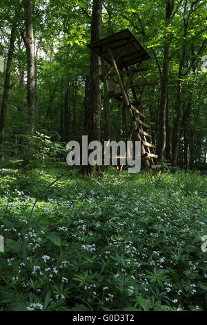 Deerstand, schwäbischen Jura, Deutschland Stockfoto