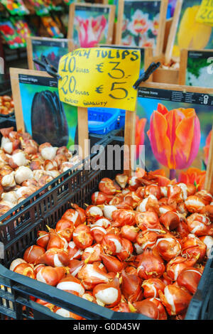 Boxen mit Birnen auf dem schwimmenden Blumenmarkt Stockfoto