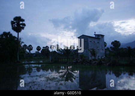 Vogelhaus für Schwalben bei Sonnenuntergang in Kampot, Kambodscha Stockfoto