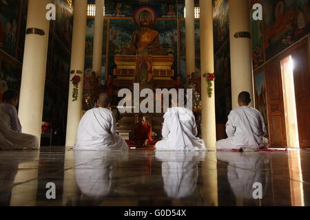 Nonnen zu meditieren, in einem buddhistischen Tempel in Kep, Kambodscha Stockfoto