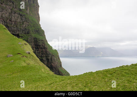 Typische Landschaft auf der Färöer als von kalsoy mit grünen Wald gesehen Stockfoto