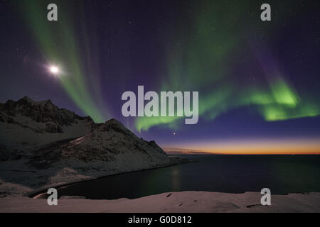 Nordlichter (Aurora Borealis), Senja, Norwegen Stockfoto