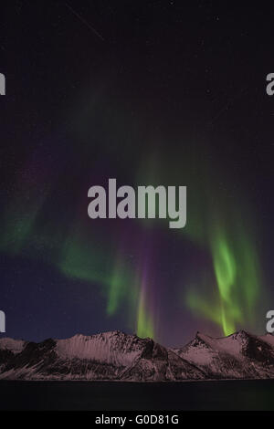 Nordlichter (Aurora Borealis), Senja, Norwegen Stockfoto