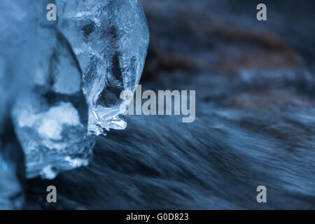 Wald-Winter-Deutsch Stockfoto