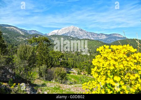 Die Natur rund um Mount Olympos im Frühling Stockfoto