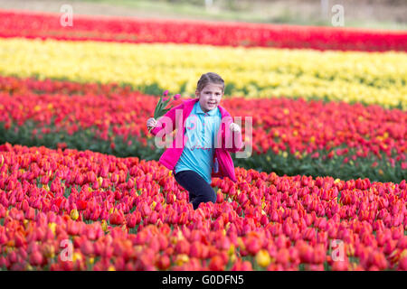 Lola Ward, 8, Kommissionierung Tulpen in einem Feld in der Nähe von King's Lynn in Norfolk am Freitag, 8. April, in Großbritanniens letzten verbleibenden Blumenfeldern. Stockfoto