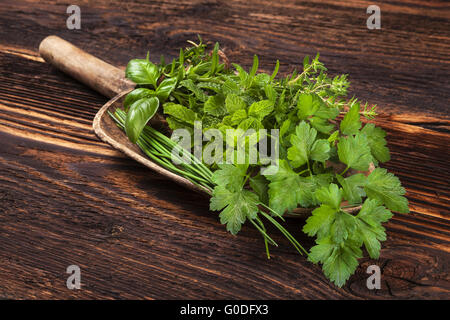 Verschiedene aromatische Küchenkräuter, rustikalen Stil. Stockfoto