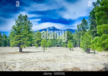 Malerische Wüstenlandschaft mit Humphreys Peak gesehen ich Stockfoto