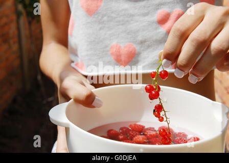 Hand halten rote Johannisbeeren Stockfoto