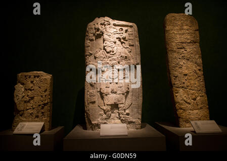 Nationalmuseum für Anthropologie Aztekenschnitzereien Mexiko-Stadt // MEXIKO-STADT, Mexiko — Aztekenschnitzereien werden im Nationalmuseum für Anthropologie ausgestellt, Mexikos wichtigste Institution, die dem präkolumbianischen Erbe des Landes gewidmet ist. Das Museum beherbergt eine der weltweit umfangreichsten Sammlungen mesoamerikanischer Artefakte, darunter bedeutende Stücke aus Azteken, Maya, Olmec und anderen indigenen Zivilisationen. Die 1964 gegründete Institution dient als nationales Repository für archäologische und ethnographische Materialien, die Tausende von Jahren mexikanischer Geschichte umfassen. Die Sammlung des Museums Stockfoto