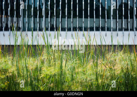 Nationalmuseum für Anthropologie Architekturdetails Mexiko-Stadt // MEXIKO-STADT, Mexiko — Architekturdetails des Nationalmuseums für Anthropologie (Museo Nacional de Antropología), Mexikos führendes archäologisches und ethnographisches Museum. Die Institution beherbergt die weltweit größte Sammlung von antiken mexikanischen Kunstwerken und Artefakten, darunter umfangreiche präkolumbische Sammlungen von Azteken, Maya, Olmec und anderen mesoamerikanischen Zivilisationen. Das vom Architekten Pedro Ramírez Vázquez entworfene modernistische Gebäude wurde 1964 im Chapultepec Park eröffnet. Das Museum gilt weithin als eines der größten Stockfoto