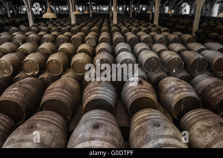 Schauen Sie in einen großen Weinkeller mit Eichenholzfässern Stockfoto