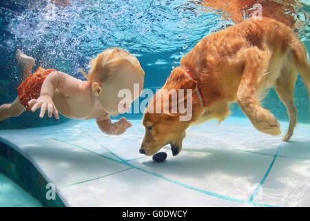 Lustiges kleines Kind mit lustigen Spielen und trainieren golden Labrador Retriever Welpe im Schwimmbad, springen und tauchen tief unter Wasser.