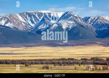 Altai-Gebirge in Kurai Bereich mit Tschujskij Nordgrat auf Hintergrund Stockfoto