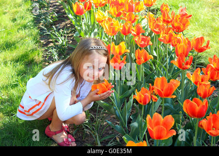 kleines Mädchen riecht orange Tulpen auf dem Blumenbeet Stockfoto