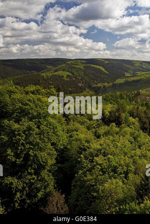 Blick vom Kueppel Turm zum Arnsberger Wald Stockfoto