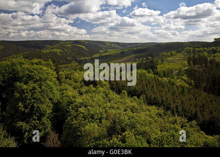 Blick vom Kueppel Turm zum Arnsberger Wald Stockfoto