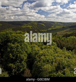 Blick vom Kueppel Turm zum Arnsberger Wald Stockfoto