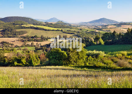 Hügelige Landschaft von le Marche, Italien Stockfoto