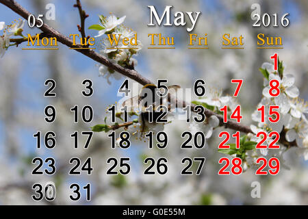 Kalender Mai 2016 auf dem Hintergrund des Fliegens Stockfoto