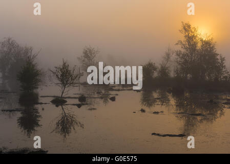 Sonnenaufgang in einem deutschen Sumpf Stockfoto